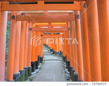 伏見Inari Taisha 70799573
