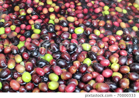 Olive fruit Olive fruit 70800333