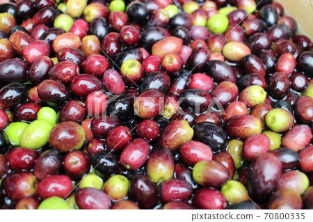Olive fruit 70800335