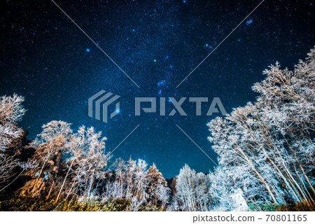 Starry sky seen in Shiga Kogen in winter Starry sky seen in Shiga Kogen in winter 70801165
