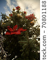 Big Christmas tree out against the sky with bright ornaments 70801188
