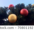 Christmas flasks on spruce twigs against the sky 70801192