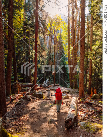 Hiker woman with backpack in the mountain forest. Hiker woman with backpack in the mountain forest. 70801418