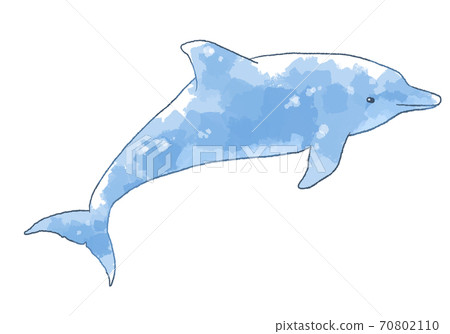 輕柔的觸摸海豚的插圖 70802110