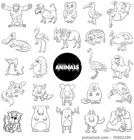 black and white cartoon wild animal characters... - Stock Illustration ...