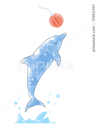 Illustration of a dolphin show with a gentle touch 70802497