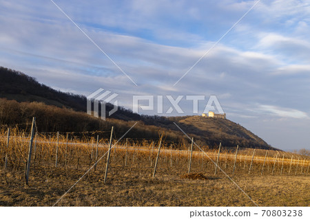 ruins of Devicky Castle with vineyards, Czech Republic ruins of Devicky Castle with vineyards, Czech Republic 70803238