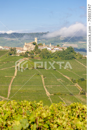 Castle and village Castiglione Falletto, Piemonte, Italy Castle and village Castiglione Falletto, Piemonte, Italy 70803347