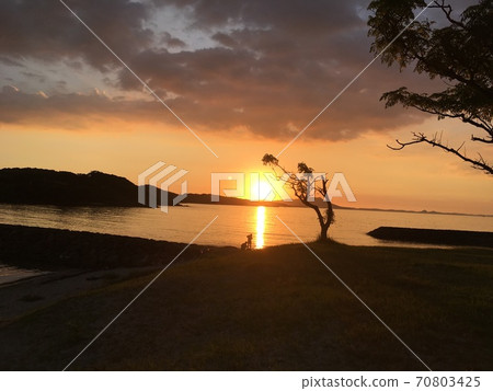 Sunset on the beach 70803425