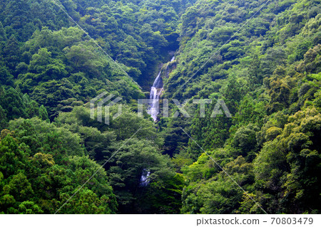 Narutaki /德島的隱藏景點,從國道到德島縣Narutaki / Tsurugi鎮肯讚的國道看到的美麗的三層瀑布(8) Narutaki /德島的隱藏景點,從國道到德島縣Narutaki / Tsurugi鎮肯讚的國道看到的美麗的三層瀑布(8) 70803479