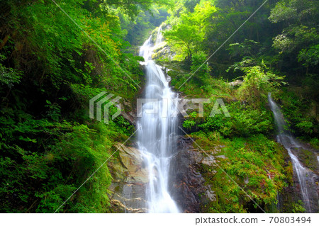 Naru Falls / Tokushima's hidden sights, a beautiful three-tiered waterfall that appears along the national highway to Mt. Tsurugi, Naru Falls / Tsurugi Town, Tokushima Prefecture (15) Naru Falls / Tokushima's hidden sights, a beautiful three-tiered waterfall that appears along the national highway to Mt. Tsurugi, Naru Falls / Tsurugi Town, Tokushima Prefecture (15) 70803494