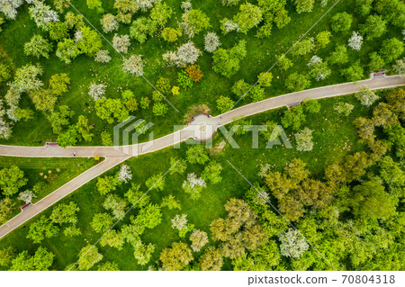 View from the height of the loshitsky Park in Minsk.Winding paths in loshitsky Park.Belarus.Apple orchard View from the height of the loshitsky Park in Minsk.Winding paths in loshitsky Park.Belarus.Apple orchard 70804318