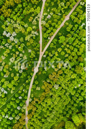 View from the height of the loshitsky Park in Minsk.Winding paths in loshitsky Park.Belarus.Apple orchard View from the height of the loshitsky Park in Minsk.Winding paths in loshitsky Park.Belarus.Apple orchard 70804319