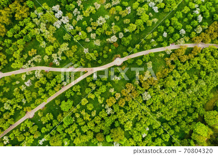 View from the height of the loshitsky Park in Minsk.Winding paths in loshitsky Park.Belarus.Apple orchard 70804320