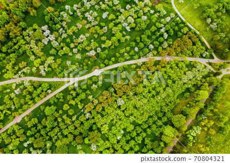 View from the height of the loshitsky Park in Minsk.Winding paths in loshitsky Park.Belarus.Apple orchard 70804321