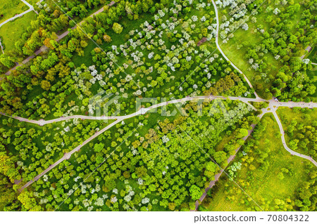 View from the height of the loshitsky Park in Minsk.Winding paths in loshitsky Park.Belarus.Apple orchard View from the height of the loshitsky Park in Minsk.Winding paths in loshitsky Park.Belarus.Apple orchard 70804322
