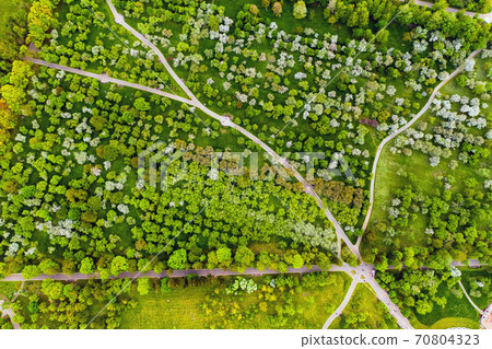 View from the height of the loshitsky Park in Minsk.Winding paths in loshitsky Park.Belarus.Apple orchard View from the height of the loshitsky Park in Minsk.Winding paths in loshitsky Park.Belarus.Apple orchard 70804323