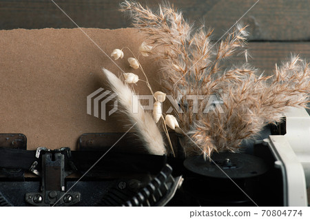 Typewriter close up and dry flowers Typewriter close up and dry flowers 70804774