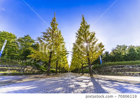 Azuma Sports Park, Fukushima City, Fukushima Prefecture Azuma Sports Park, Fukushima City, Fukushima Prefecture 70806119
