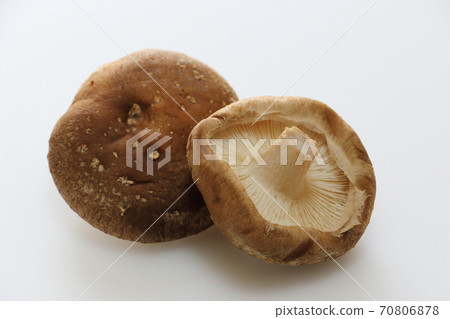 Shiitake mushroom 70806878