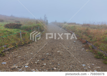 Mt. Hatsubushi surrounded by the morning mist [Autumn] 70808878