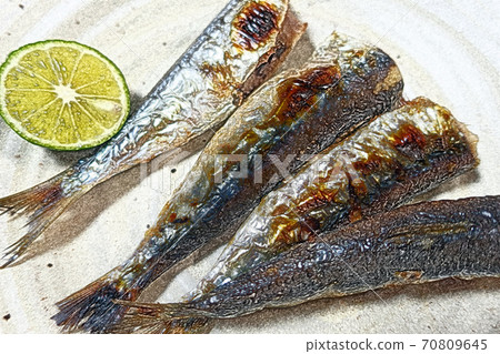 Home-style and simple home-cooked "sardine grilled with salt" colored pencil drawing style 70809645