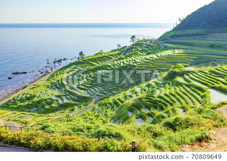 Shiroyone Senmaida on the Noto Peninsula at Shiroyonemachi, Wajima City, Ishikawa Prefecture Shiroyone Senmaida on the Noto Peninsula at Shiroyonemachi, Wajima City, Ishikawa Prefecture 70809649