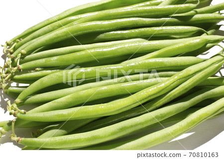四季豆Sayaingen 70810163