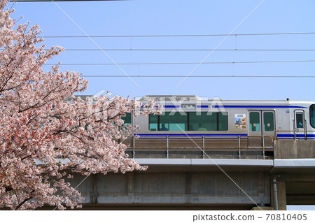 Scenery of cherry blossoms blooming along the Aichi Loop Railway Line 70810405