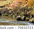 Autumn leaves in Okunikko and Yukawa 70810723