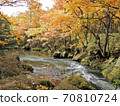 Autumn leaves in Okunikko and Yukawa 70810724