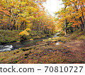 Autumn leaves in Okunikko and Yukawa 70810727