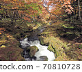 Autumn leaves in Okunikko and Yukawa 70810728