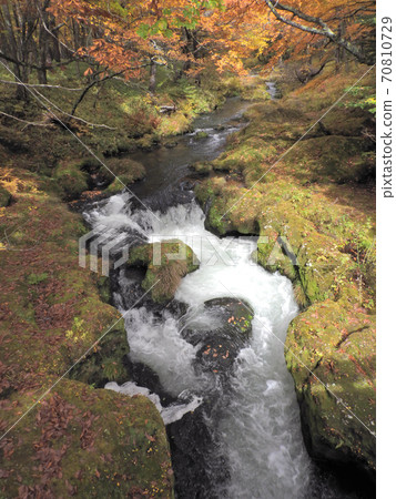 Autumn leaves in Okunikko and Yukawa 70810729