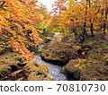 Autumn leaves in Okunikko and Yukawa 70810730