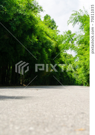 Tunnel of green bamboo forest sideways road Tunnel of green bamboo forest sideways road 70811035