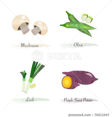 Watercolor healthy nature organic plant vegetable food ingredient mushroom okra leek purple sweet potato Watercolor healthy nature organic plant vegetable food ingredient mushroom okra leek purple sweet potato 70812047