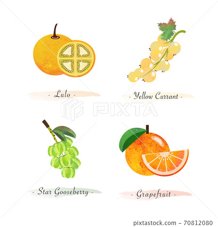 Organic nature healthy food fruit lulo yellow currant star gooseberry grapfruit Organic nature healthy food fruit lulo yellow currant star gooseberry grapfruit 70812080