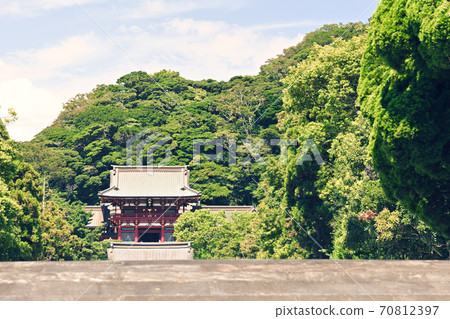 鎌倉·鶴岡八幡宮 鎌倉·鶴岡八幡宮 70812397