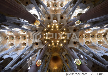 Sakurada Familia 70813050