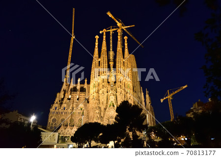 Sakurada Familia 70813177