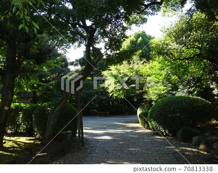 Important Cultural Property Former Asakura Residence A sunny Japanese garden with a Taisho romance Important Cultural Property Former Asakura Residence A sunny Japanese garden with a Taisho romance 70813338