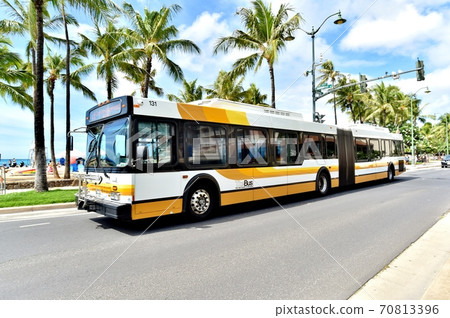 Holidays in Hawaii 70813396