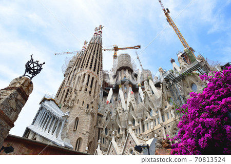 Sakurada Familia 70813524