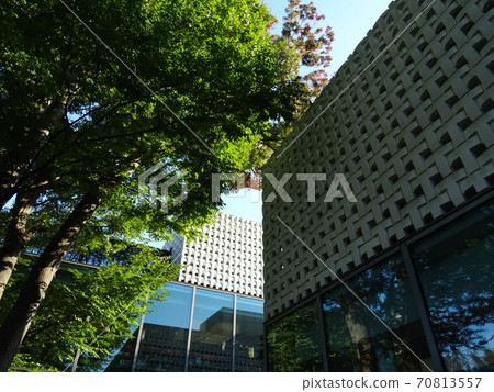 陽光明媚的大觀山T-SITE 70813557