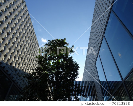 Daikanyama T-SITE, which is sunny and sunny 70813558