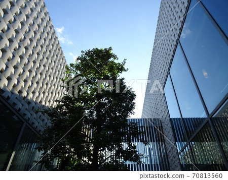 陽光明媚的大觀山T-SITE 70813560