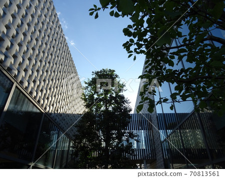 Daikanyama T-SITE, which is sunny and sunny 70813561