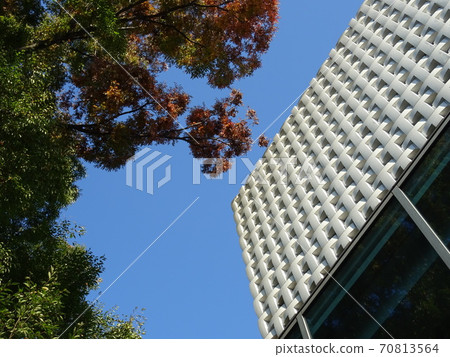 陽光明媚的大觀山T-SITE 70813564