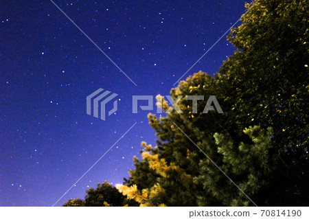 樹木和星空 70814190